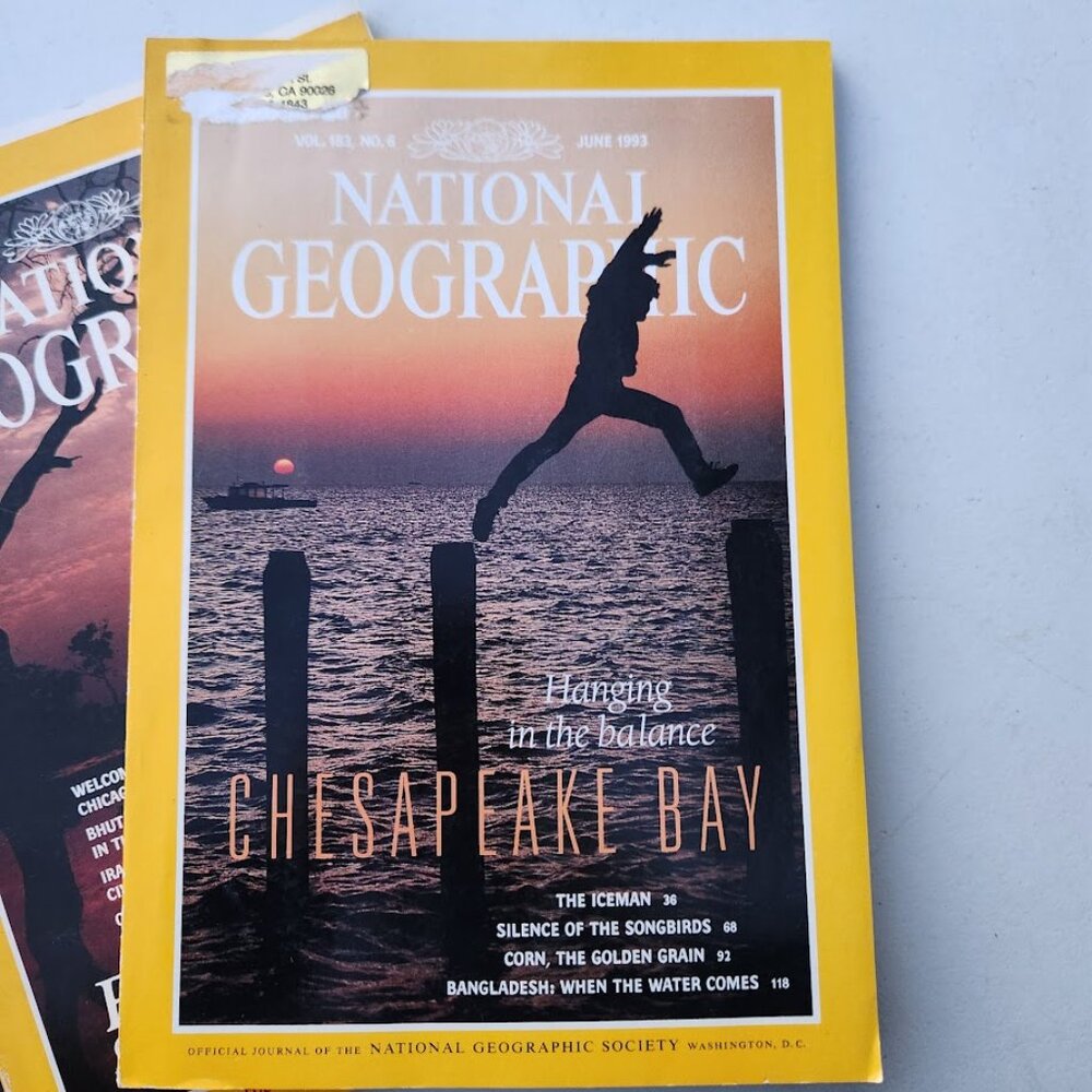 2X Vintage National Geographic Magazine Bundle Set Magazines Random 2 Magazines